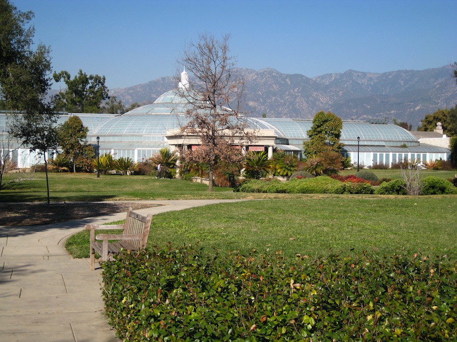 Visiting the Huntington Gardens 1/30/2013