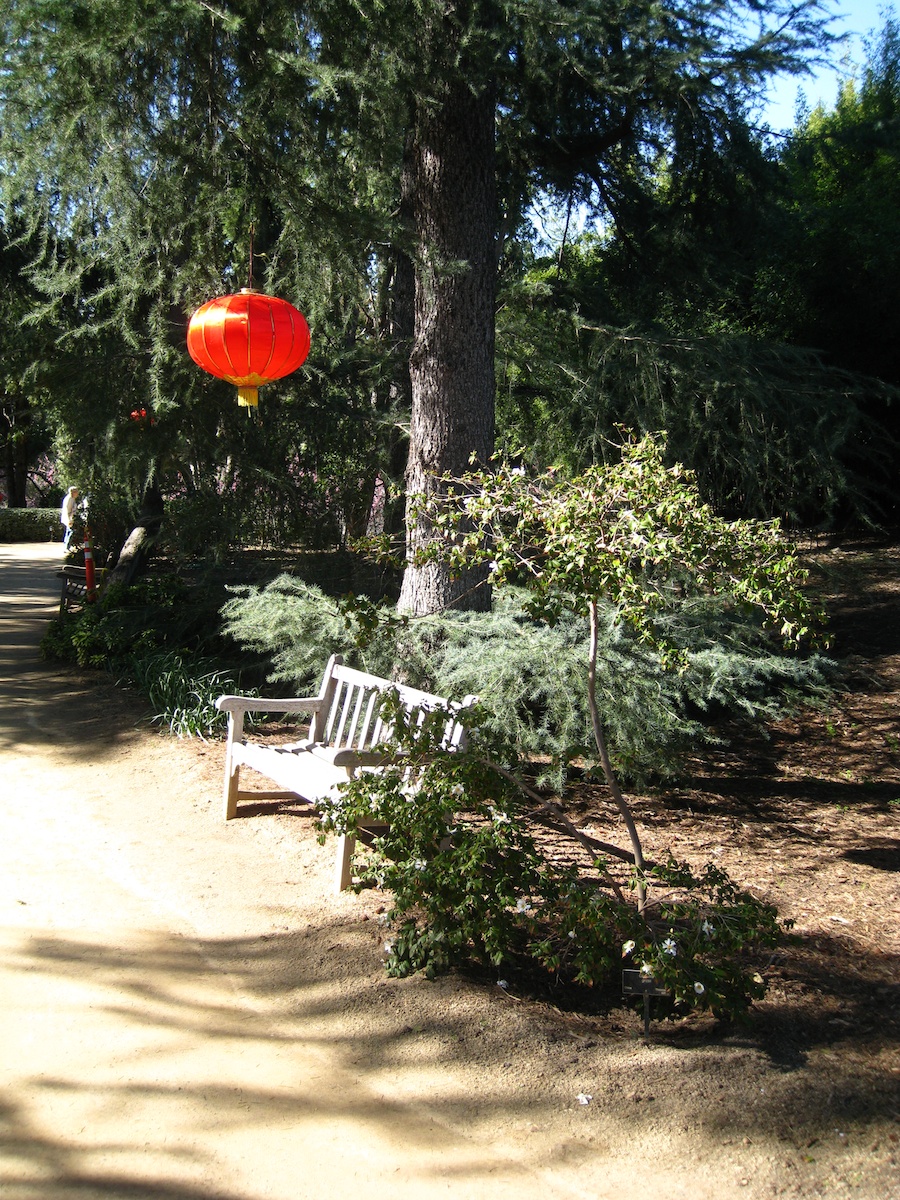 Visiting the Huntington Gardens 1/30/2013