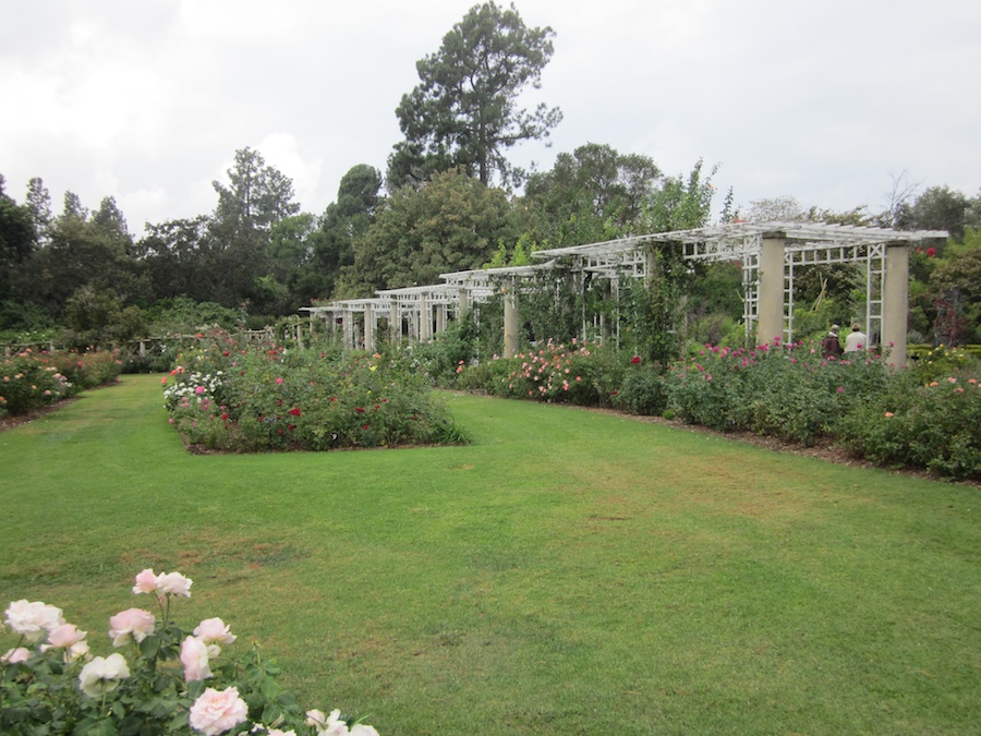 Huntington Gardens 10/9/2013