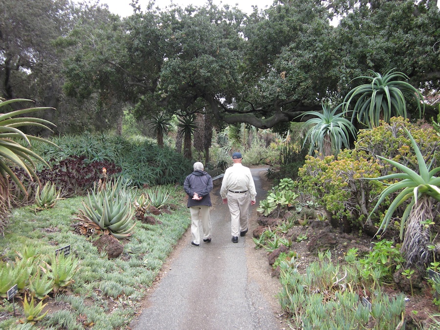 Huntington Gardens 10/9/2013