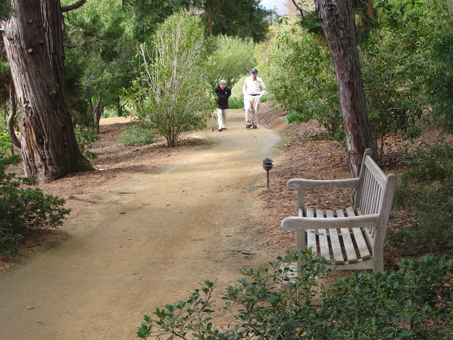 Huntington Gardens 10/9/2013