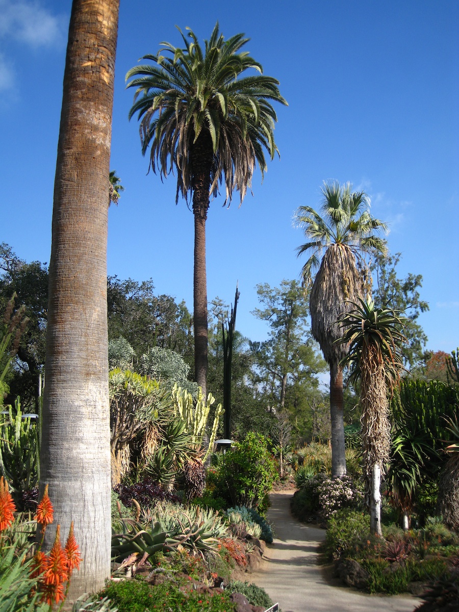 Huntington Library * Gardens visit December 2013