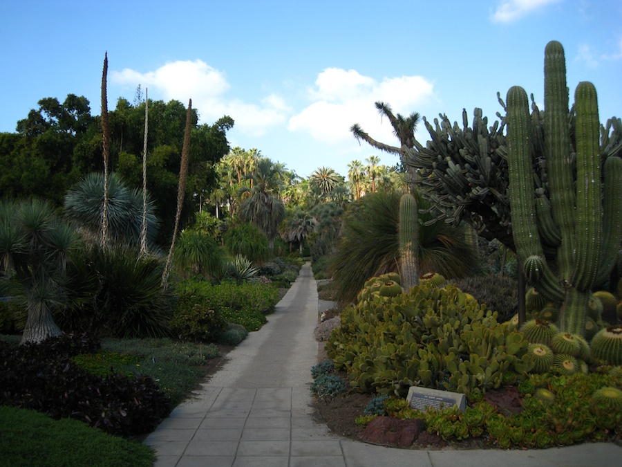 Huntington Library * Gardens visit December 2013