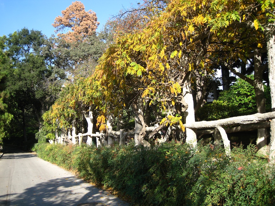 Huntington Library * Gardens visit December 2013