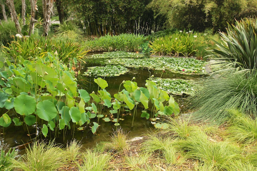 Birthday month visit to the Huntington July 2014