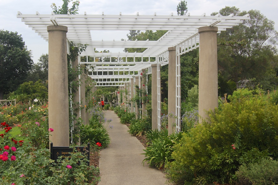 Birthday month visit to the Huntington July 2014