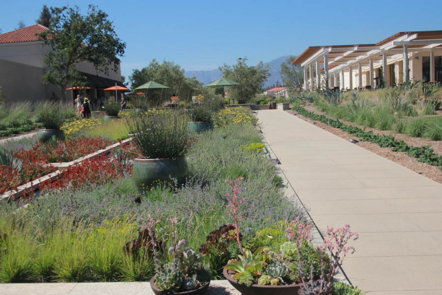 Visiting the Huntington Gardens July 13th 2015 with Charlotte and Greg