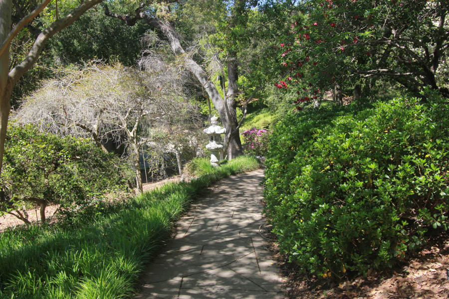 Visitig the Huntington with the Finchs and Greg MArch 2016