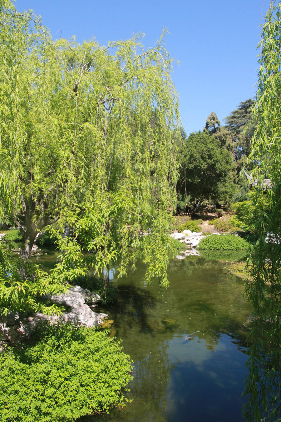 Visitig the Huntington with the Finchs and Greg MArch 2016