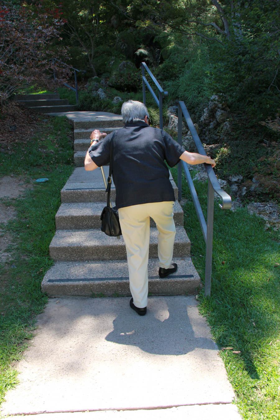 Visiting The Huntington July 25th 2016