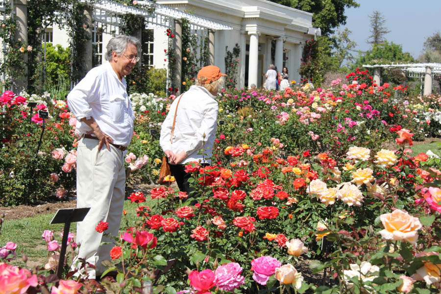 Visiting the Huntington April 2018 with the Finch's