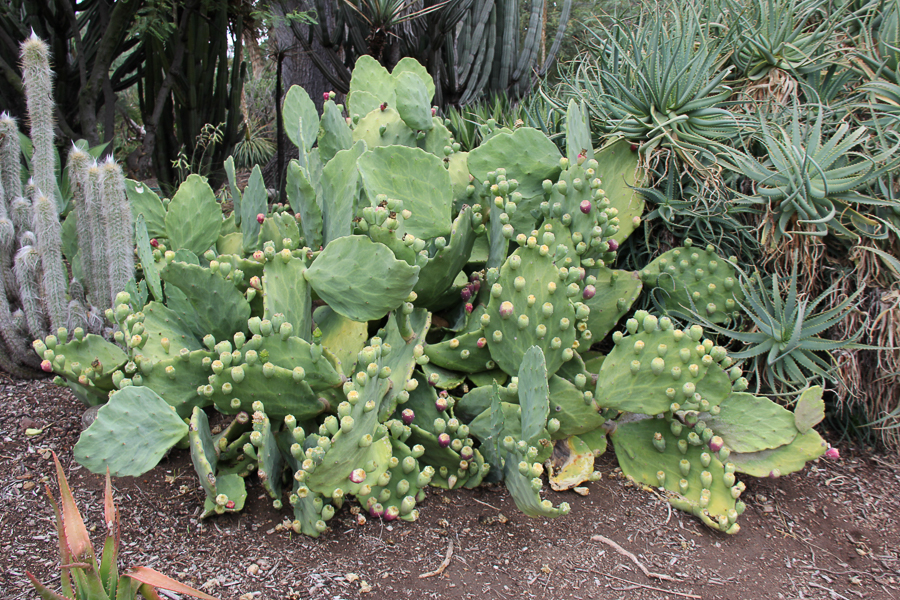 Huntington Library 2022-09