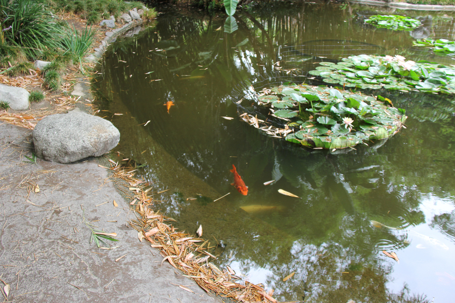 Huntington Library 2022-09
