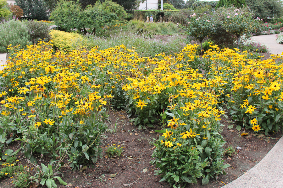 Huntington Library 2022-09