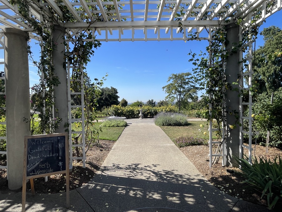 2023-07 Tea At The Huntington Library And A Walk In The Garden