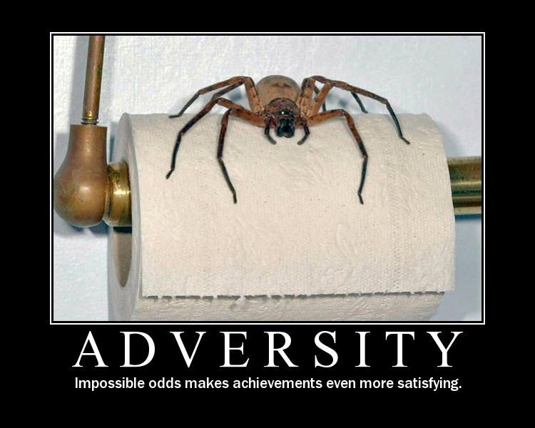 Adversity