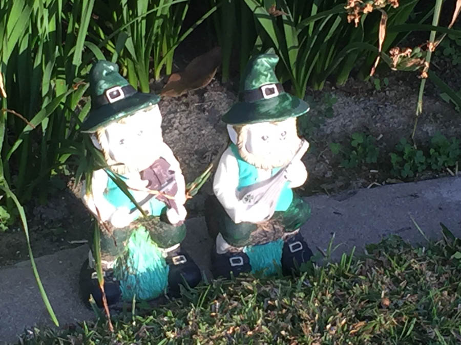 Walking in Rossmoor February 2016