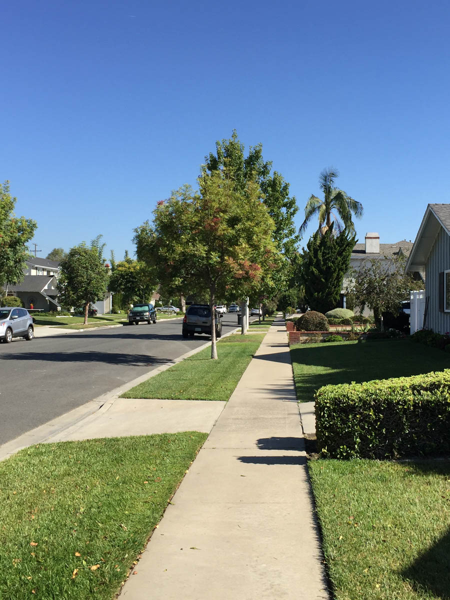 Walking Rossmoor in September 2016