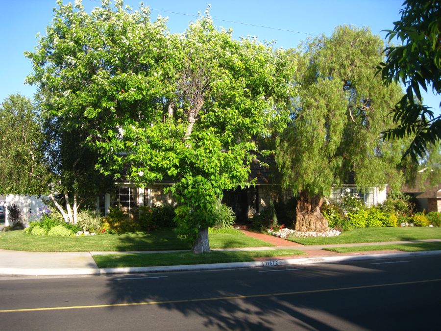 Walking around Rossmoor