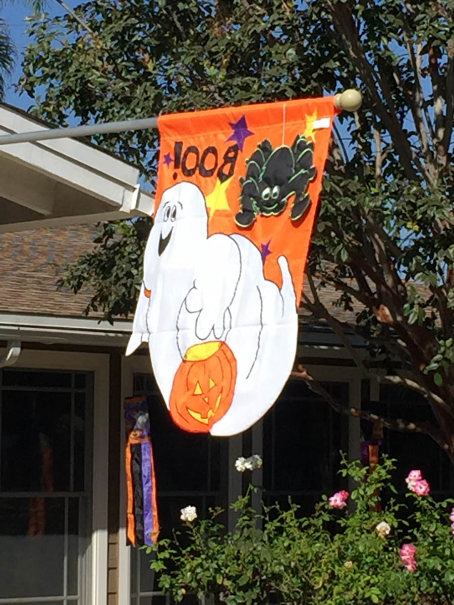 Walking around Rossmoor during October 2016 can be an adventure!