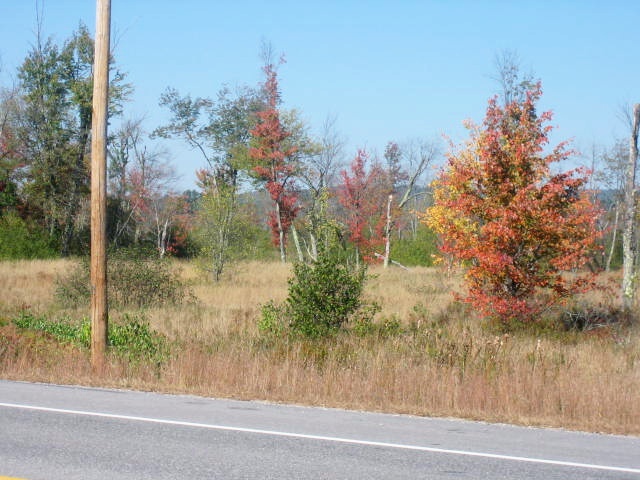 New England Fall Foliage Adventure