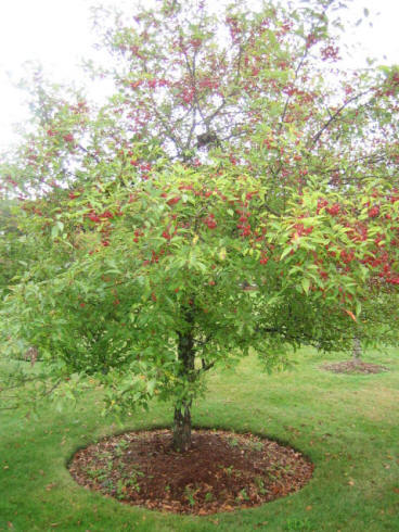 New England Fall Foliage Adventure