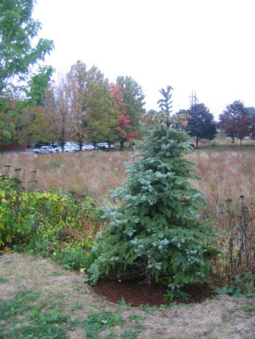 New England Fall Foliage Adventure