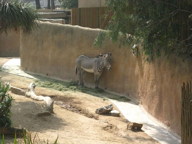 Los Angeles Zoo February 2010