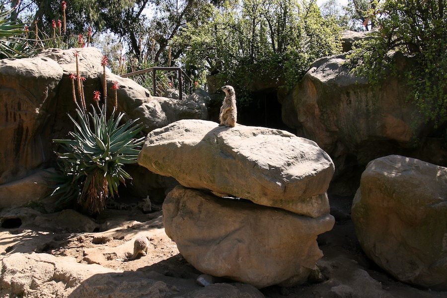 The LAIR visit to the LA Zoo March 2012