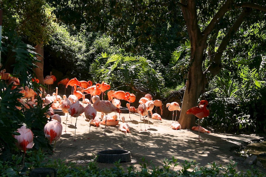 The LAIR visit to the LA Zoo March 2012