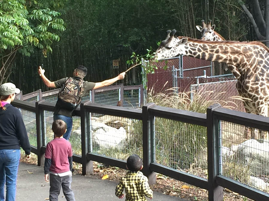 Los Angeles Zoo January 2015