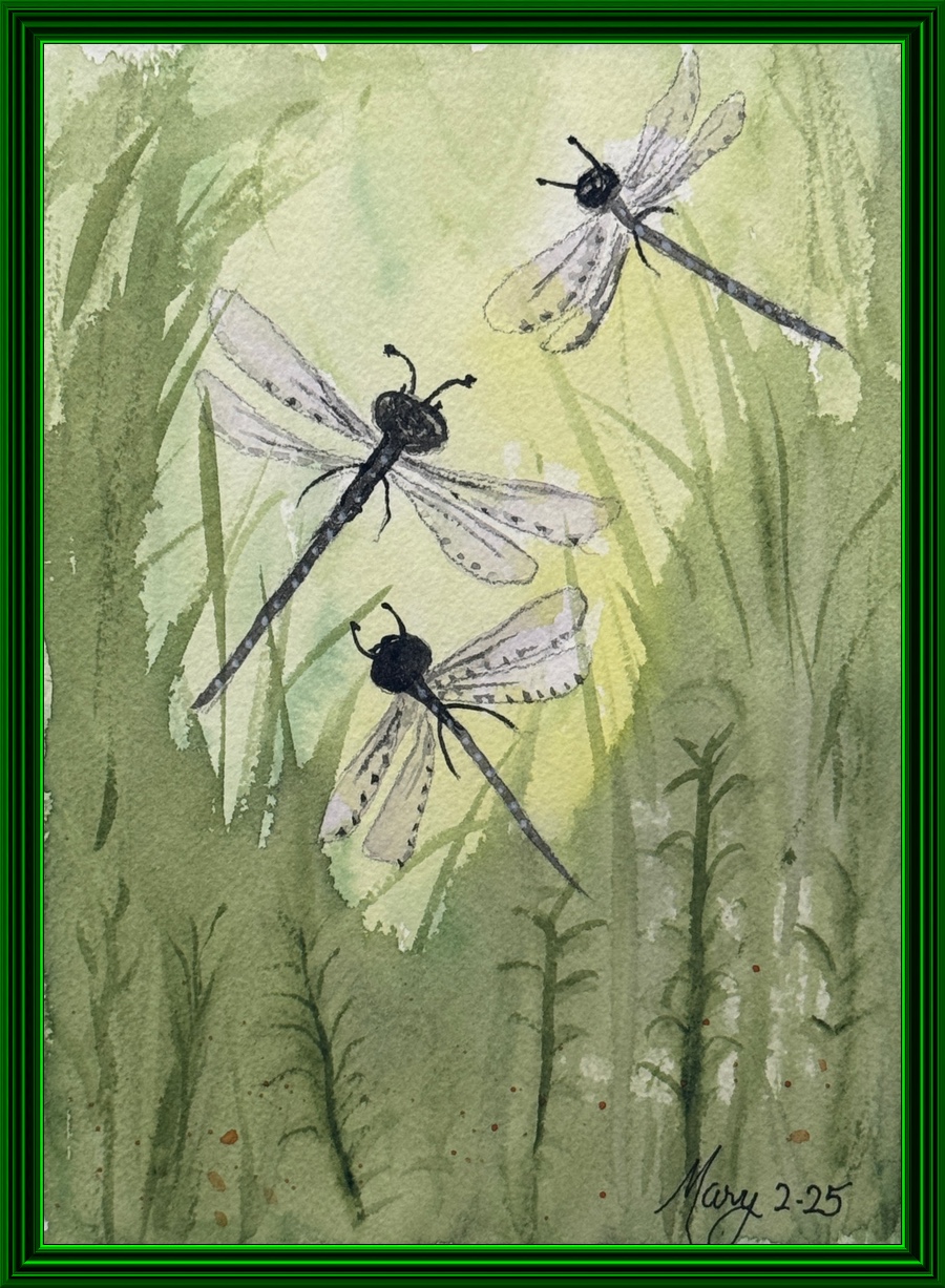 Mary's watercolor efforts