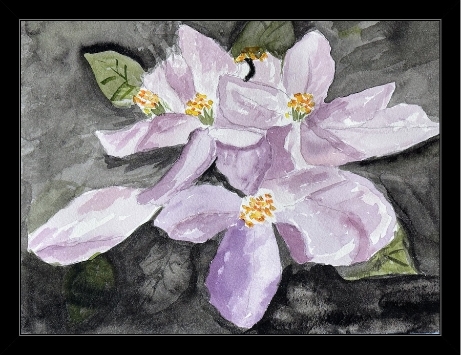 Mary's watercolor efforts