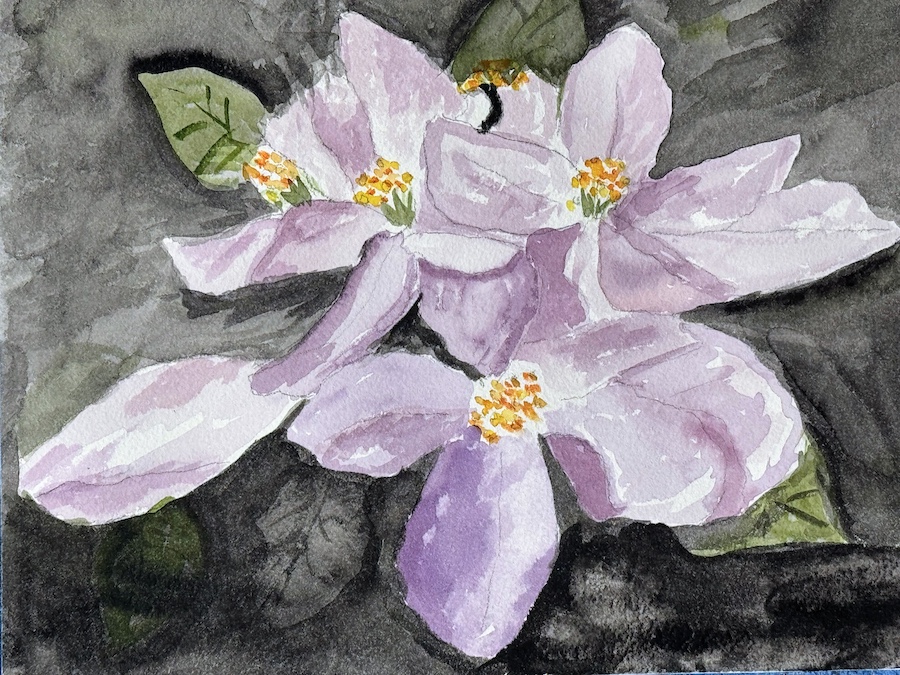 Mary's watercolor efforts