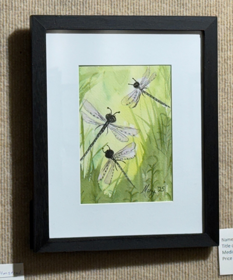 Mary's watercolor efforts