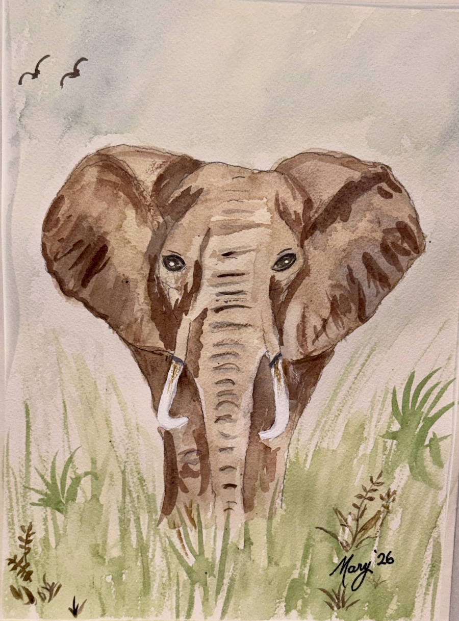 Mary's watercolors