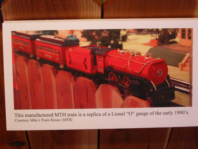 Nixon Library Trains Display 1/8/2010