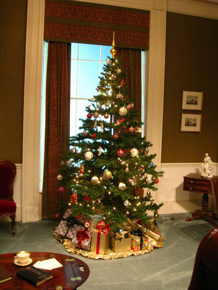 Nixon library Christmas trees 1/8/2010