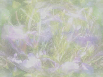 Miscellaneous backgrounds