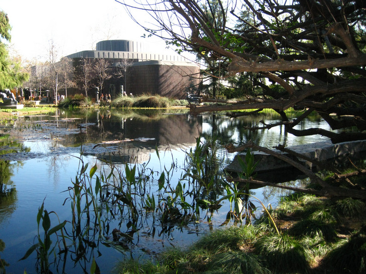 Norton Simon Museum Pasadena California 1/28/2010