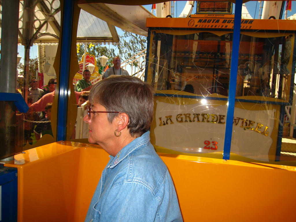 Too Bad People Deface The Rides