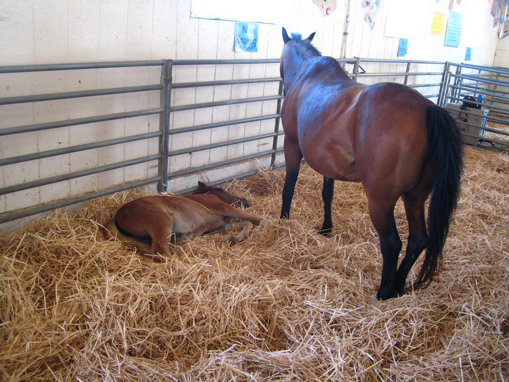 Mammy Watches Her Baby