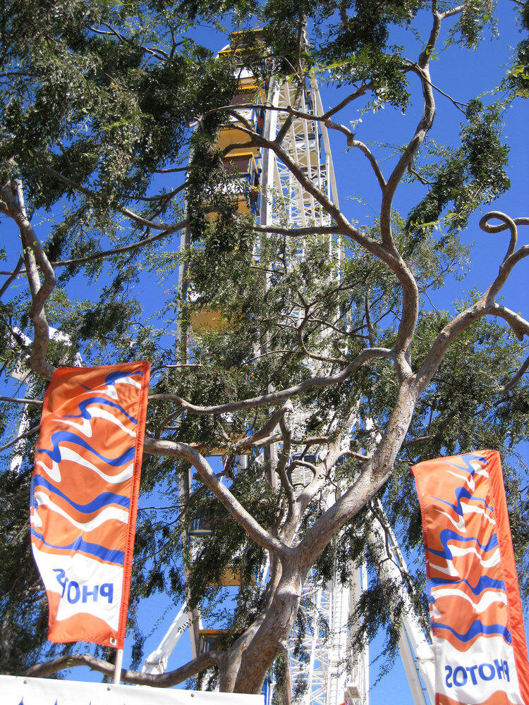 OC Fair 2008 #3 with the Porters