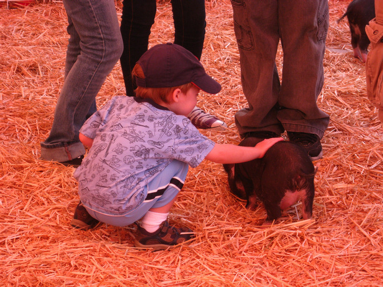 Day five at the 2009 OC fair