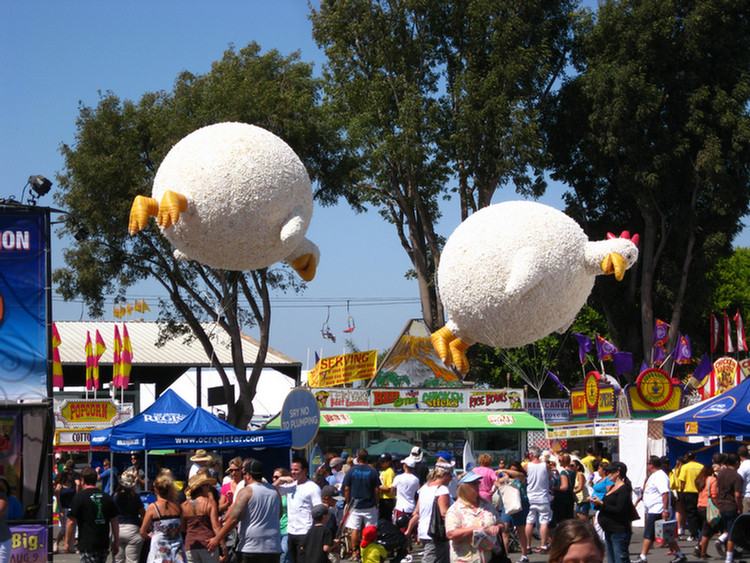 Day five at the 2009 OC fair