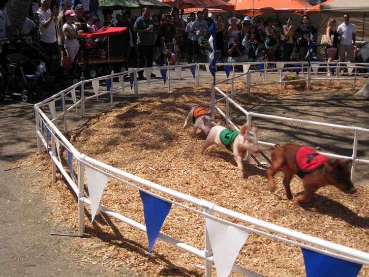 OC Fair 2009 Day Two With The Duda's