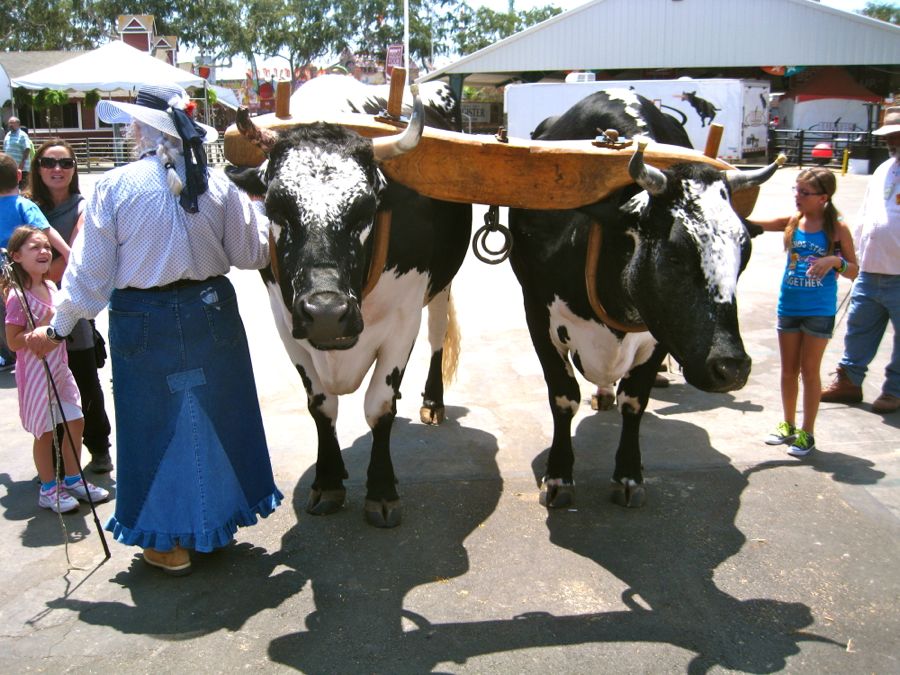 August 2011 visit to the OC Fair