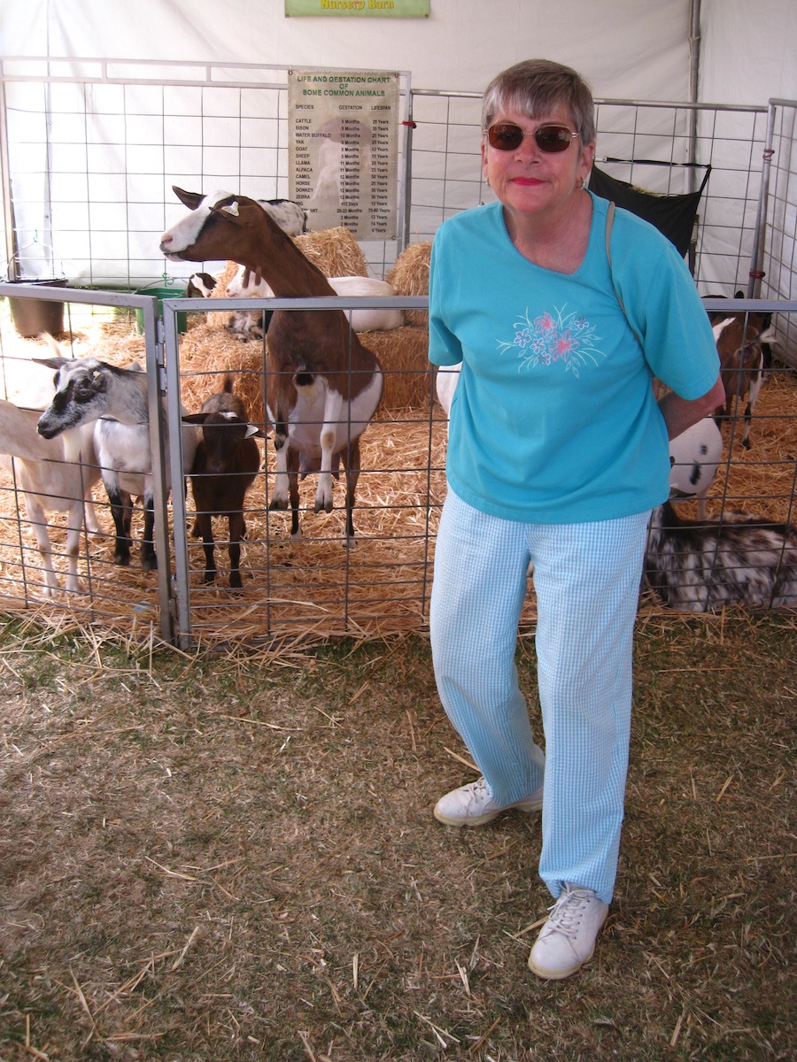 OC Fair July 14th 2012 cinnamon rools and livestock