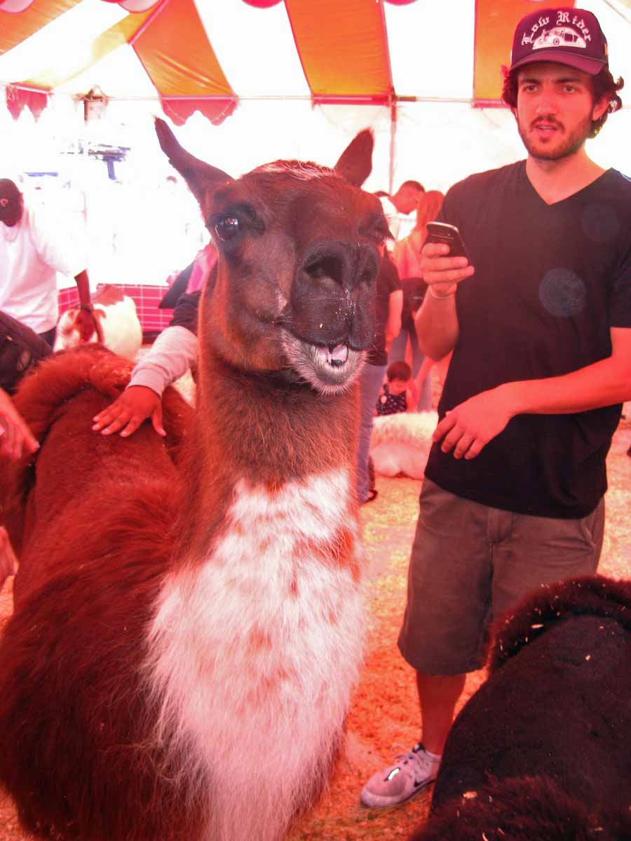 OC Fair July 14th 2012 wine, b uns, farms, collectibles