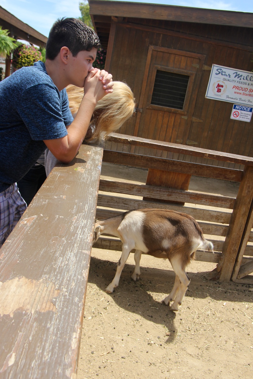 OC Fair 2014